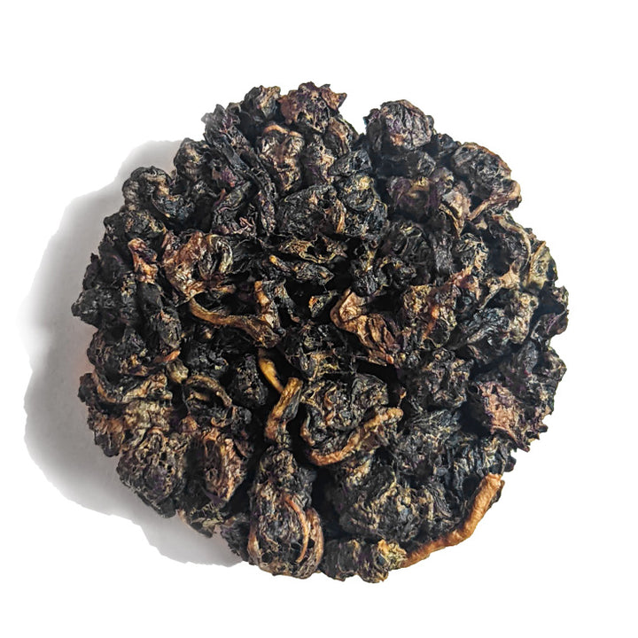 iLOLA TEA DISC™ sample booklets - (Sold Individually)