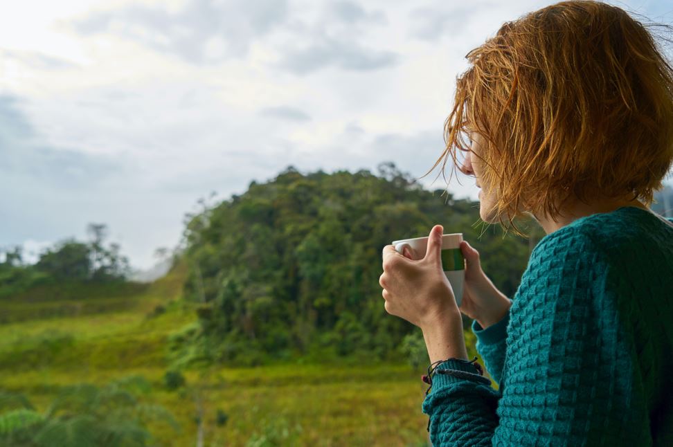 A Cup of Nature and a Surprising Mushroom