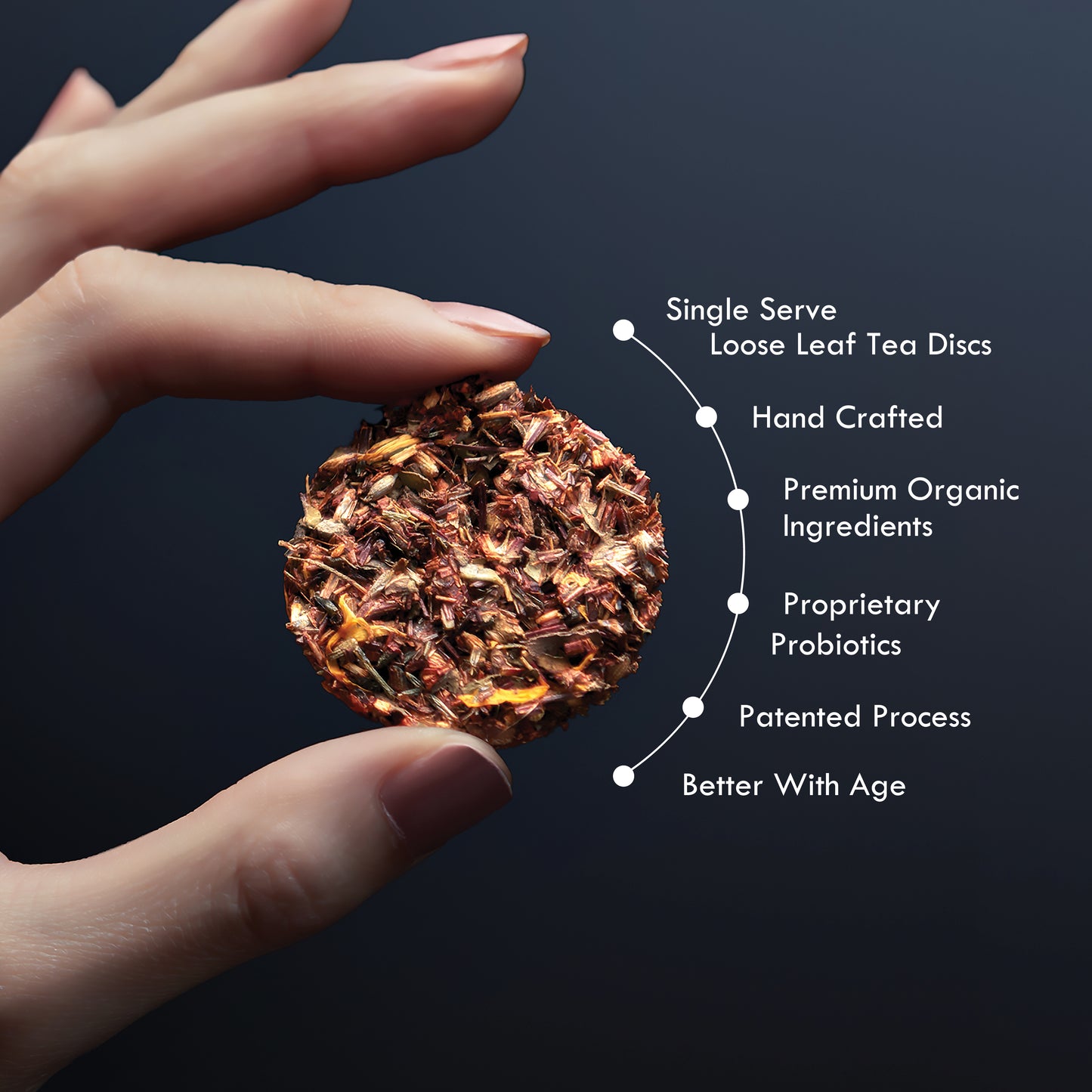 iLOLA Tasting Flight  | 10-Pack Sampler Set