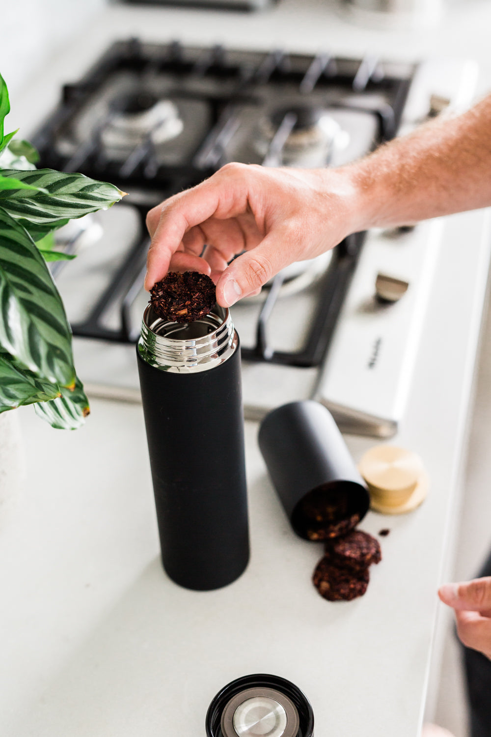 Snow Maple No. 41 | Loose Leaf White Tea