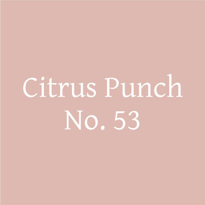 Citrus Punch No. 53 – Citrus Probiotic Oolong Tea Discs