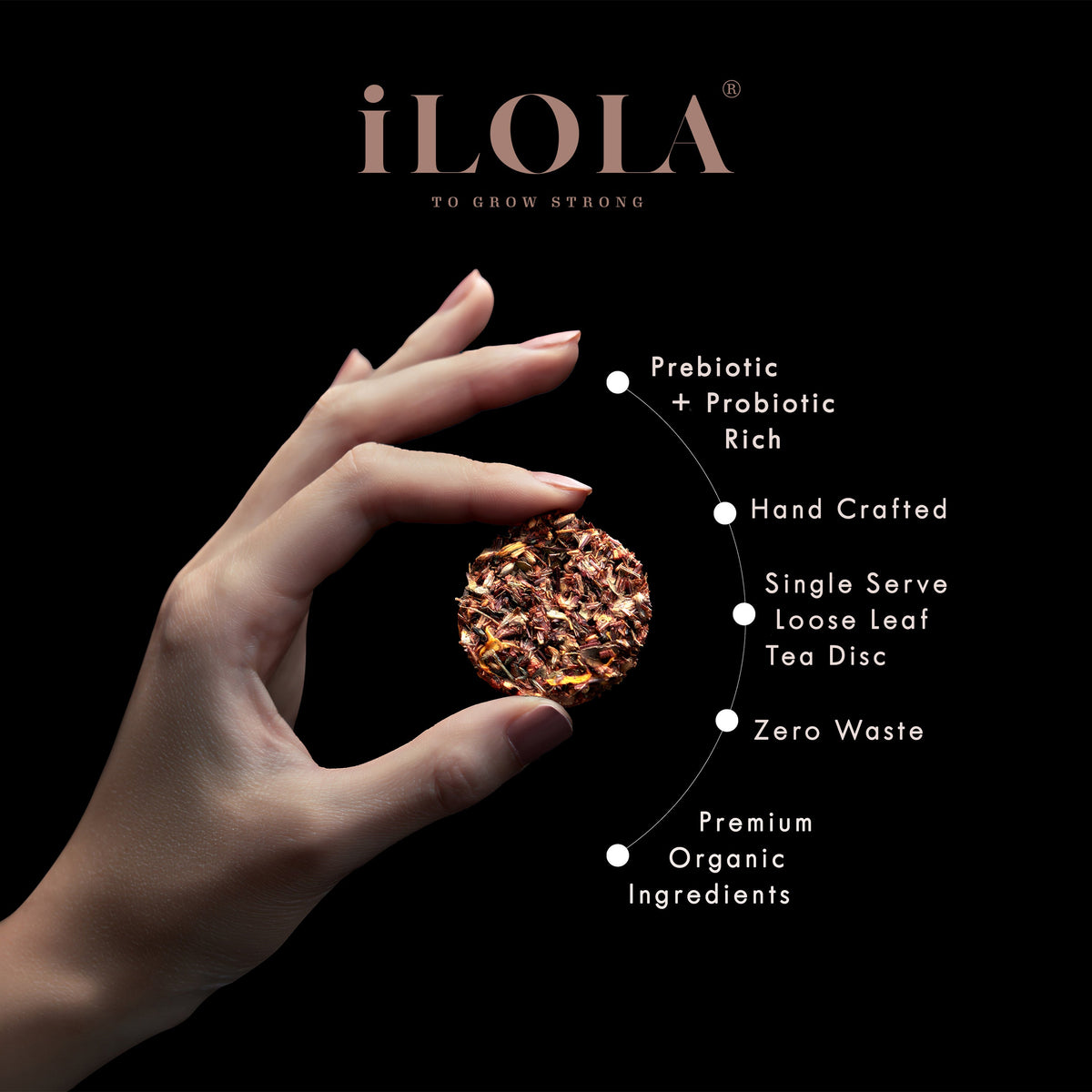 Red Earl No. 64 | Loose Leaf Herbal Tea