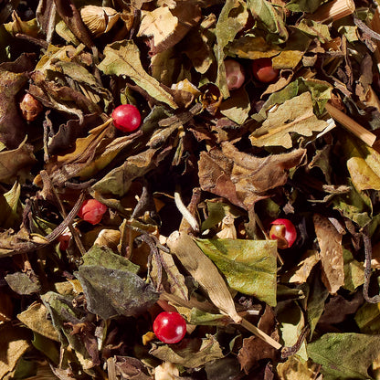 Sweet Cinnamon Chai No. 40 – Spiced Probiotic White Tea Discs